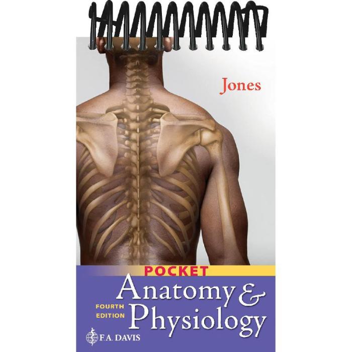 Mckinley anatomy & physiology 4th edition