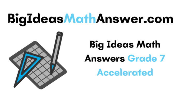 Big ideas math integrated 2 answers