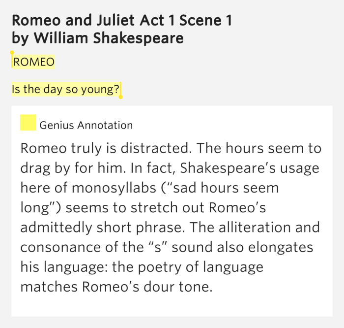 Romeo juliet act verona public scene fight capulet montague family capulets square montagues families daily shakespeare scrapbook timetoast italy first